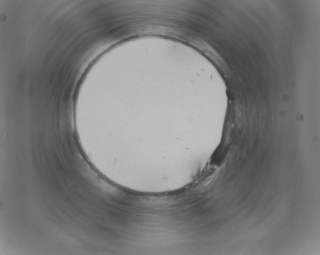 X0000077351036200611101609