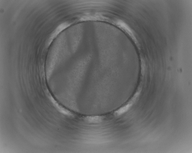 X0000077351041200611101609