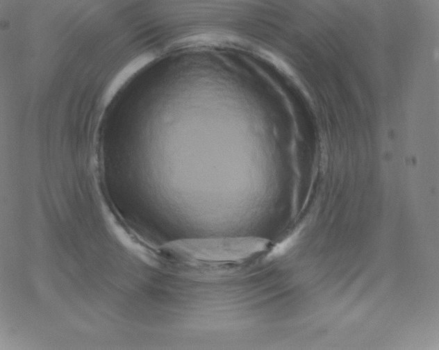 X0000077351042200611101609