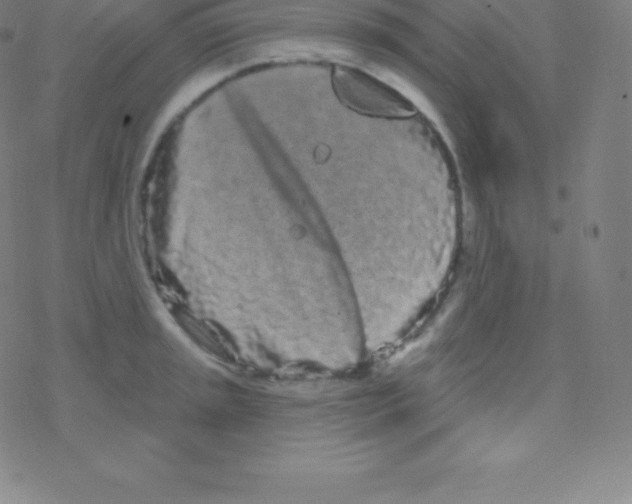 X0000077351045200611101609