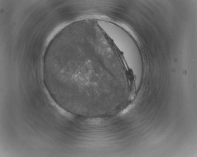 X0000077351046200611101609