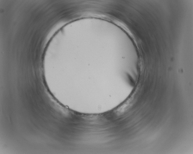 X0000077351048200611101609