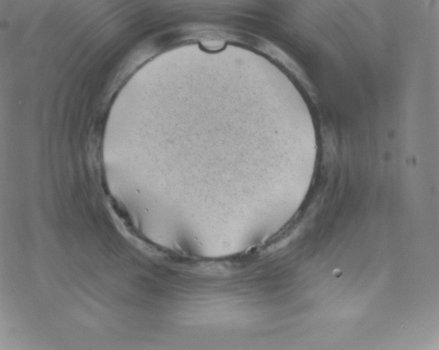 X0000077351049200611101609