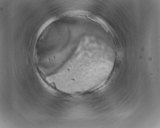 X0000077351050200611101609