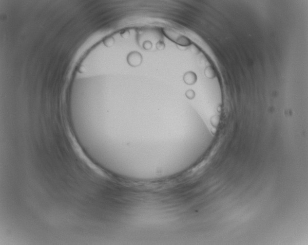 X0000077351053200611101609