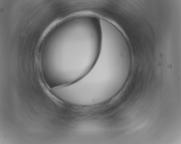 X0000077351054200611101609