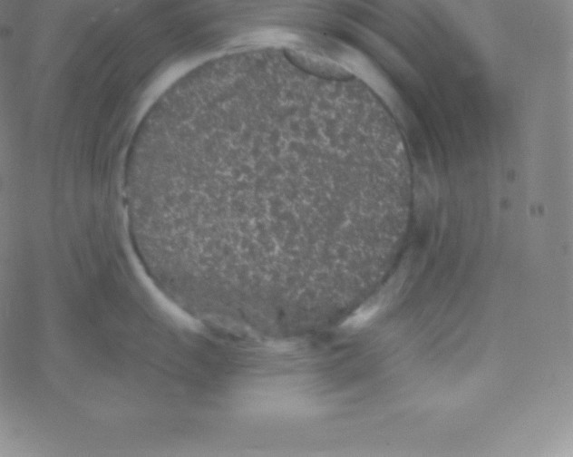 X0000077351055200611101609