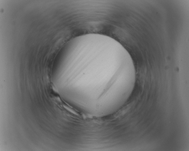 X0000077351058200611101608