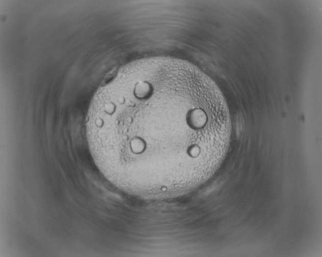 X0000077351059200611101608