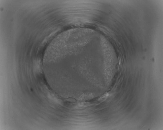 X0000077351060200611101608