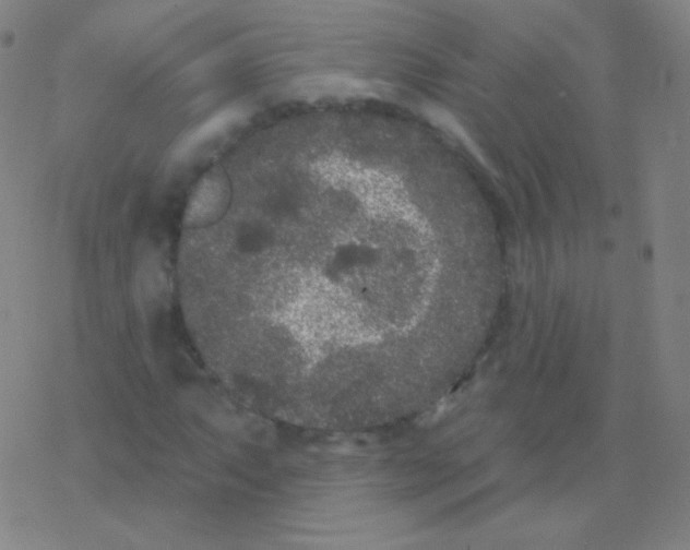 X0000077351063200611101608