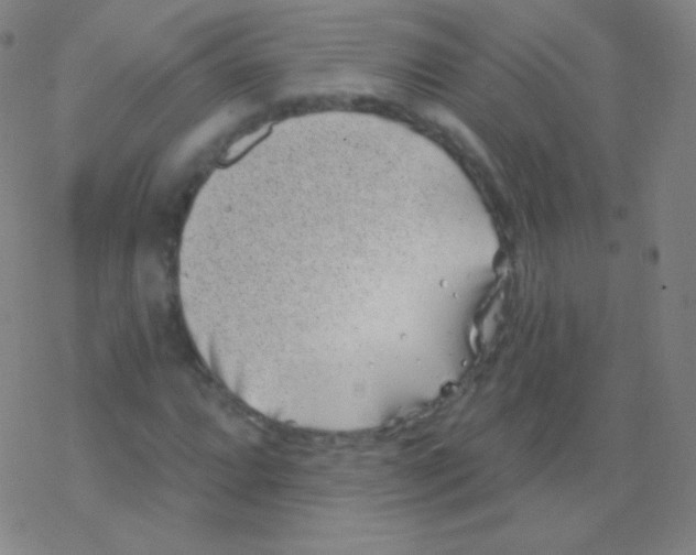 X0000077351064200611101608