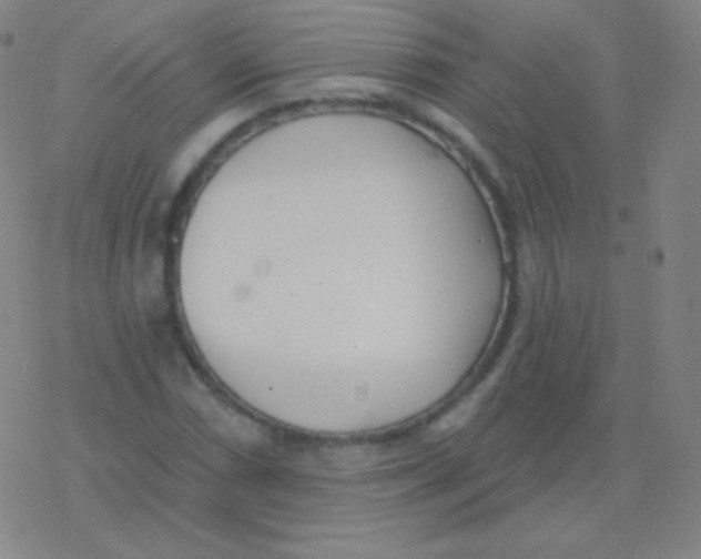 X0000077351066200611101608