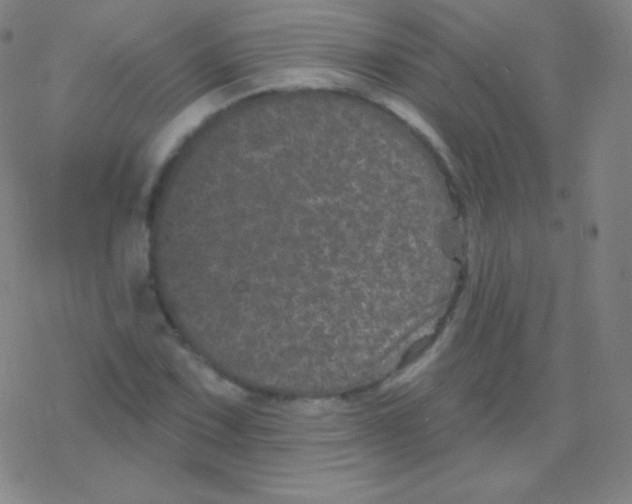 X0000077351067200611101608