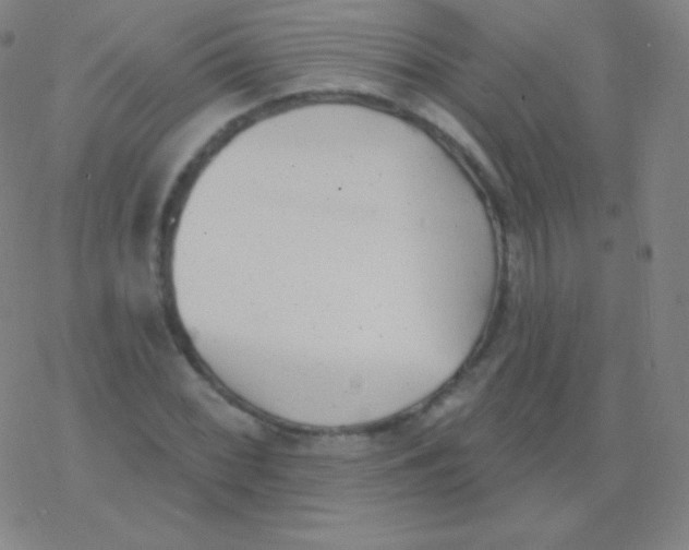 X0000077351068200611101608