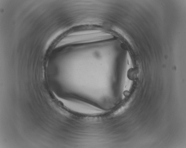 X0000077351069200611101608