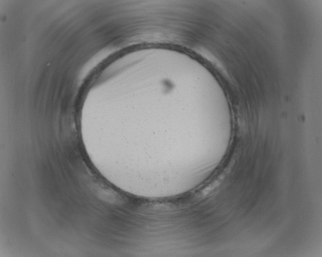 X0000077351070200611101608