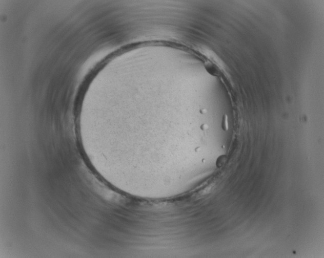 X0000077351072200611101608