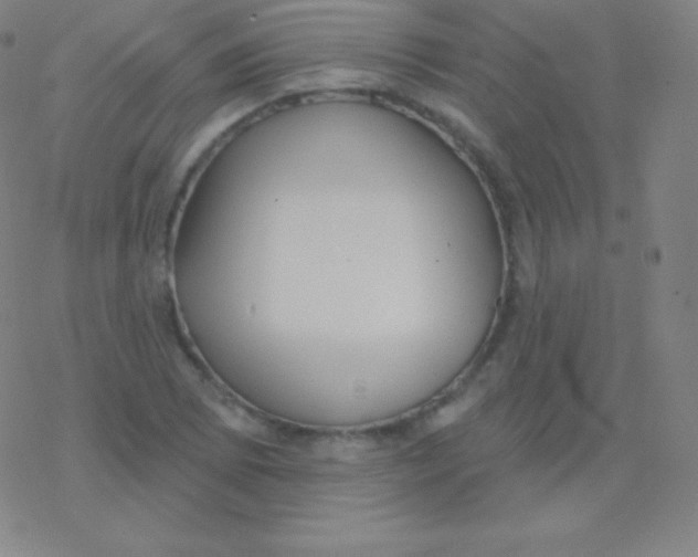 X0000077351073200611101608