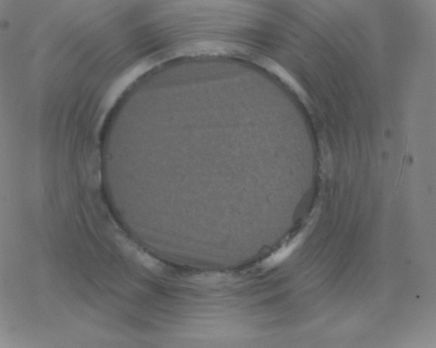 X0000077351075200611101608