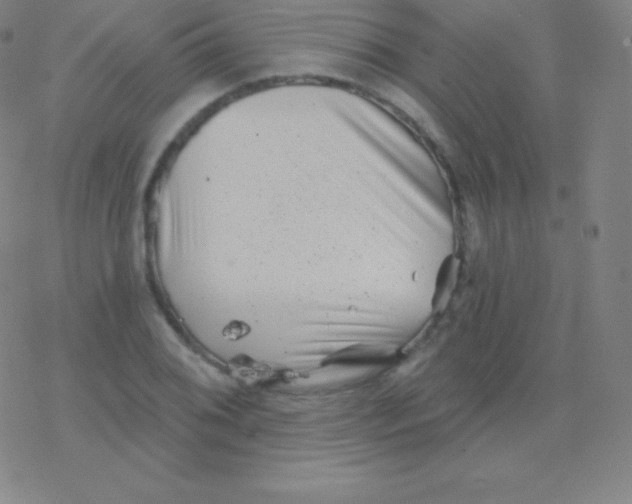 X0000077351076200611101608