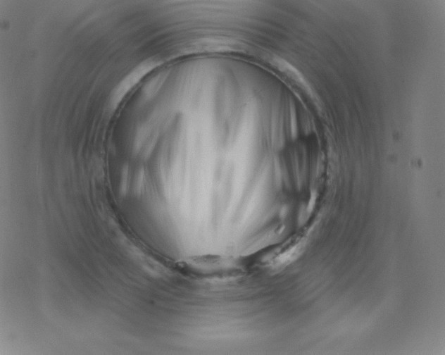 X0000077351081200611101608