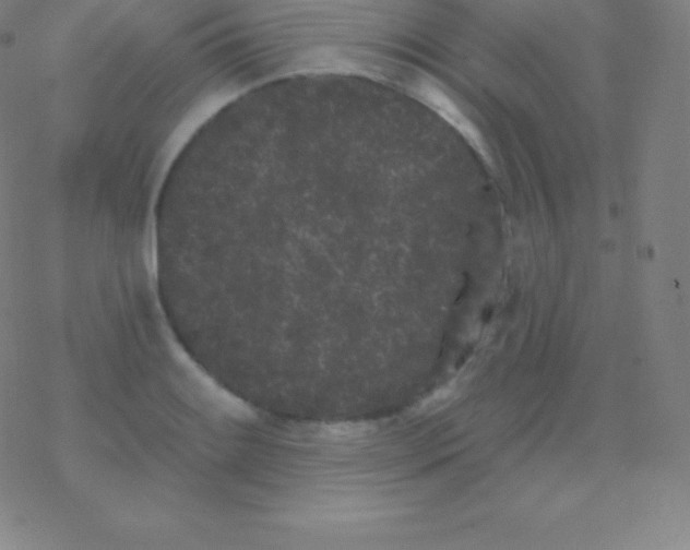 X0000077351084200611101608