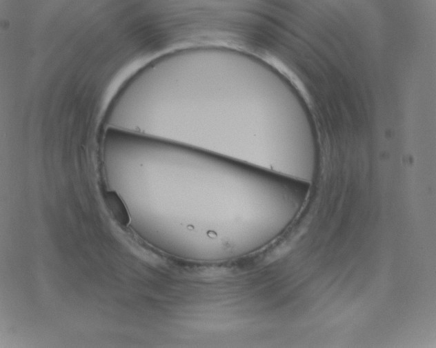 X0000077351085200611101608