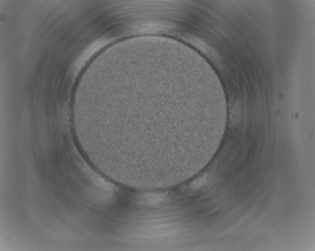 X0000077351086200611101608