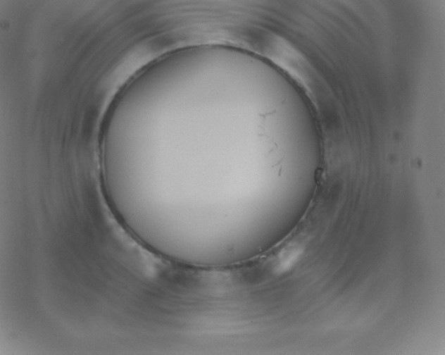 X0000077351088200611101608