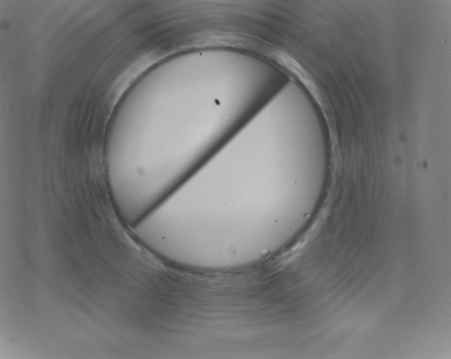 X0000077351089200611101608