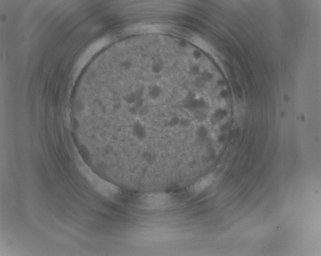 X0000077351090200611101608