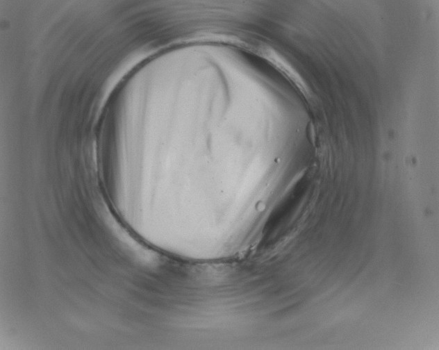 X0000077351092200611101608