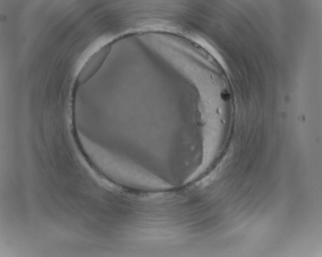 X0000077351093200611101608