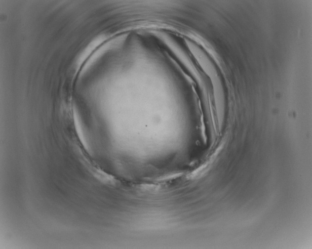 X0000077351097200611101608