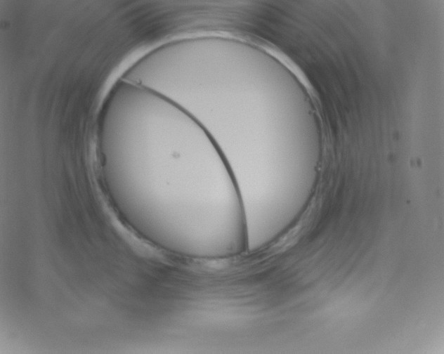 X0000077351101200611101607