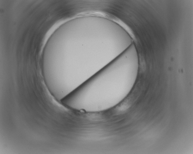 X0000077351102200611101607