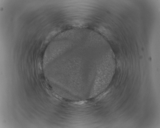 X0000077351106200611101607