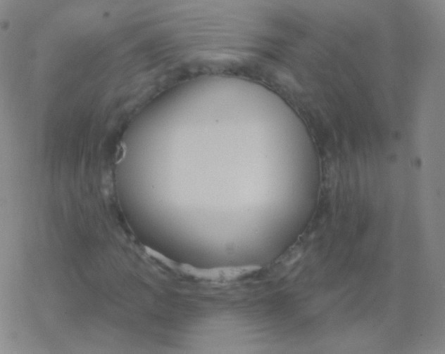 X0000077351109200611101607