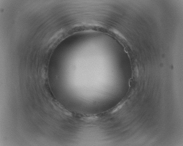 X0000077351110200611101607