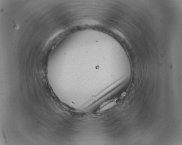 X0000077351112200611101607