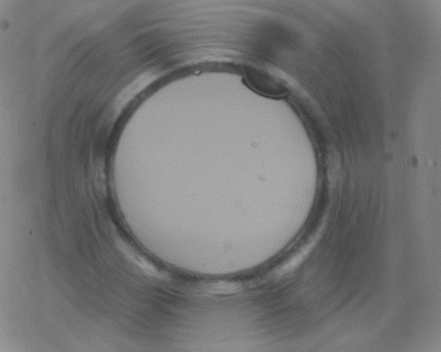 X0000077351113200611101607