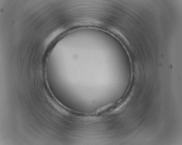 X0000077351114200611101607