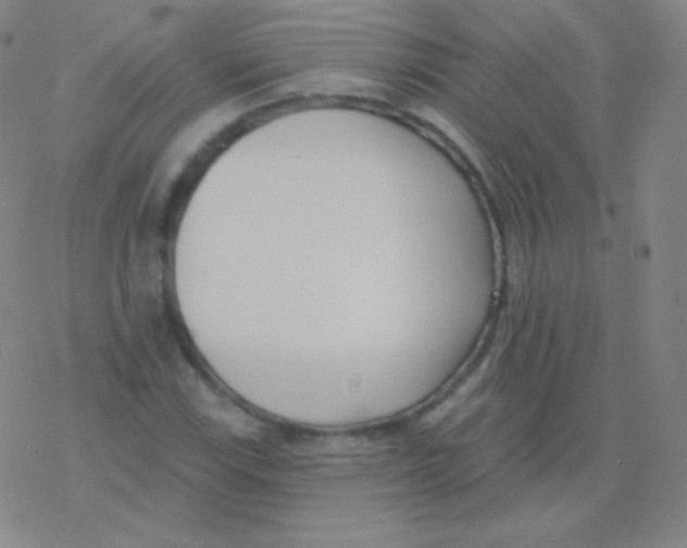 X0000077351115200611101607