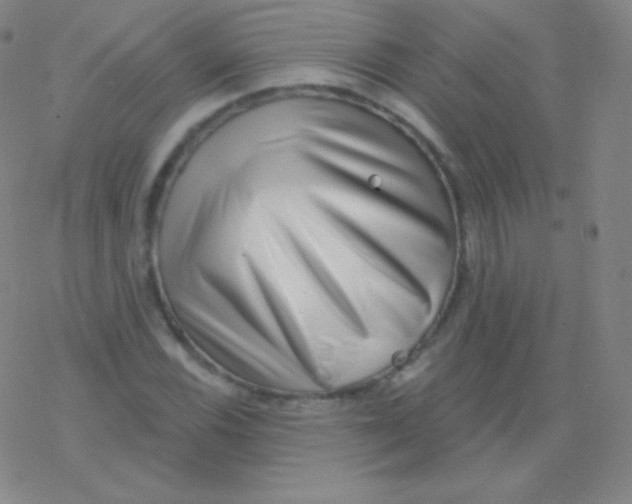 X0000077351116200611101607