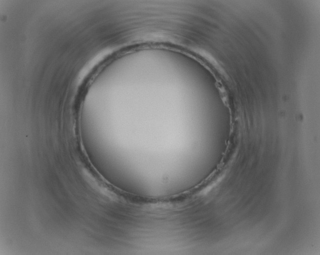 X0000077351118200611101607