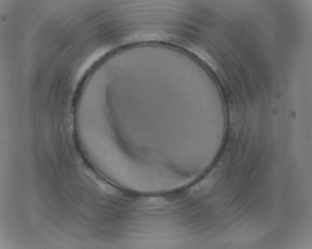 X0000077351119200611101607