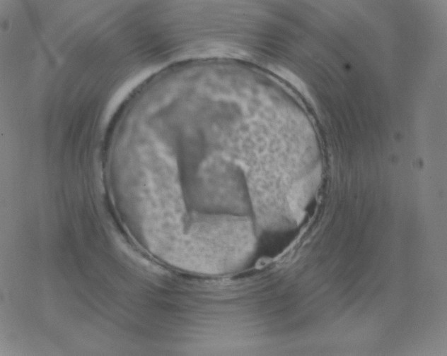 X0000077351120200611101607