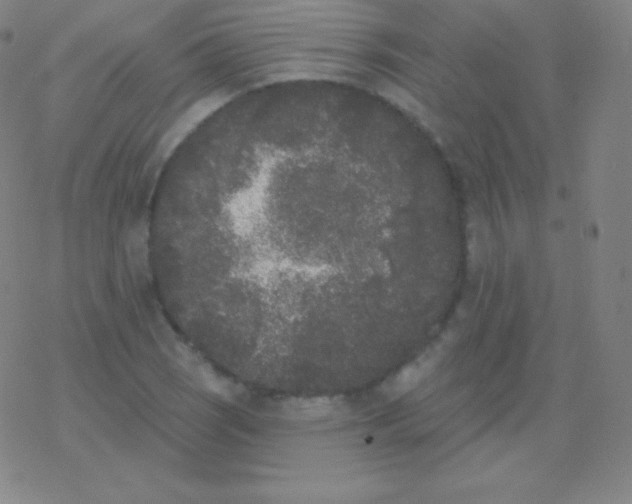 X0000077351121200611101607