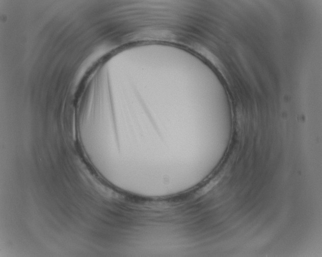 X0000077351123200611101607